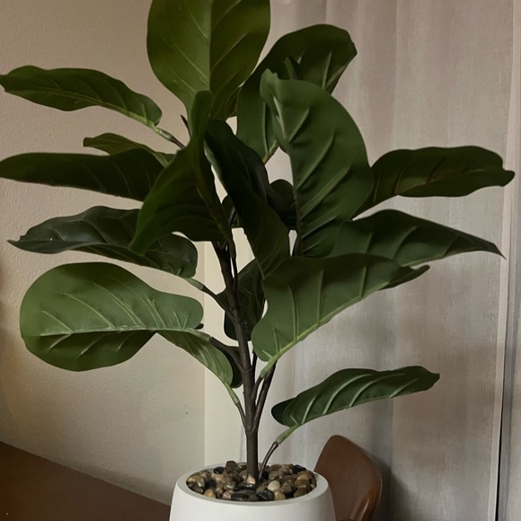 Faux Fiddle Leaf Fig 22 inches - Picture 4 of 7